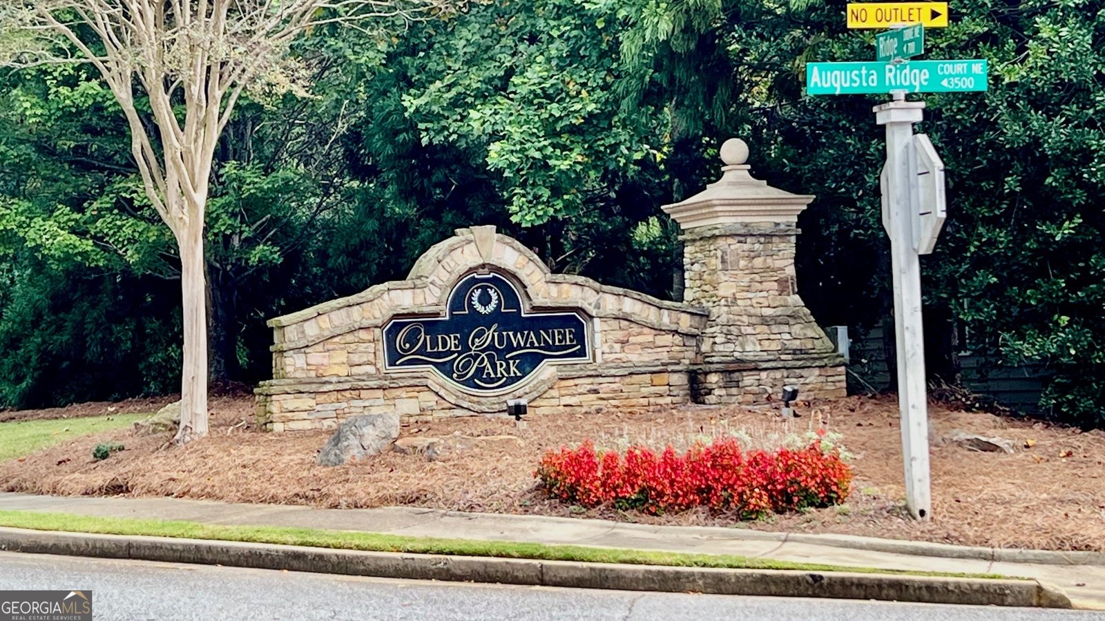 479 Rutlidge Park Lane Suwanee - 4