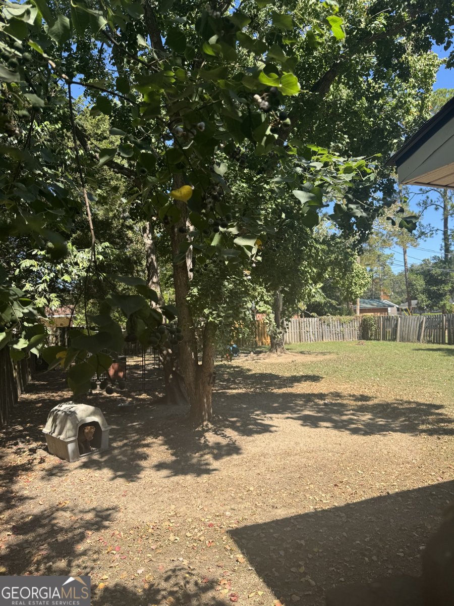 1009 Tulip Avenue Cordele - 12