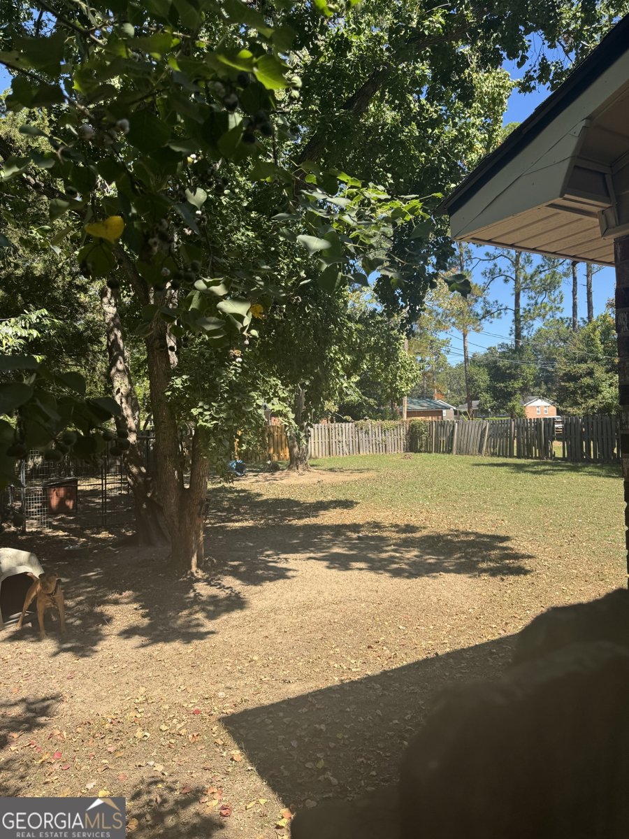 1009 Tulip Avenue Cordele - 13