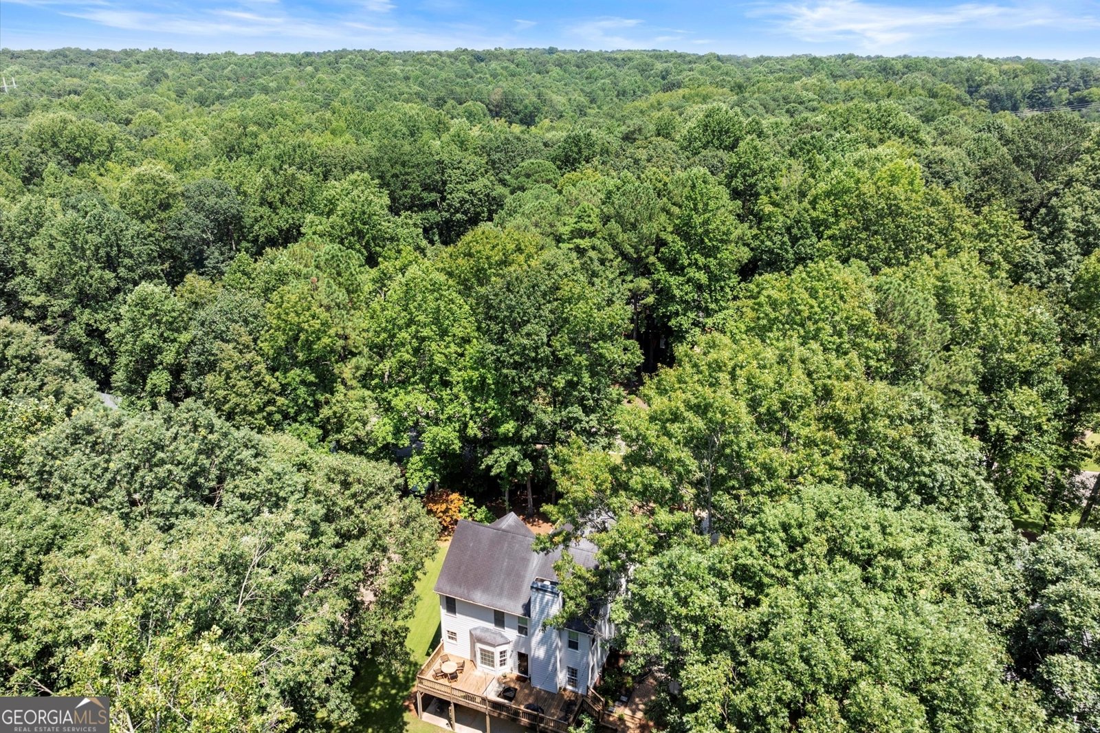 313 Thorntree Lane Canton - 68