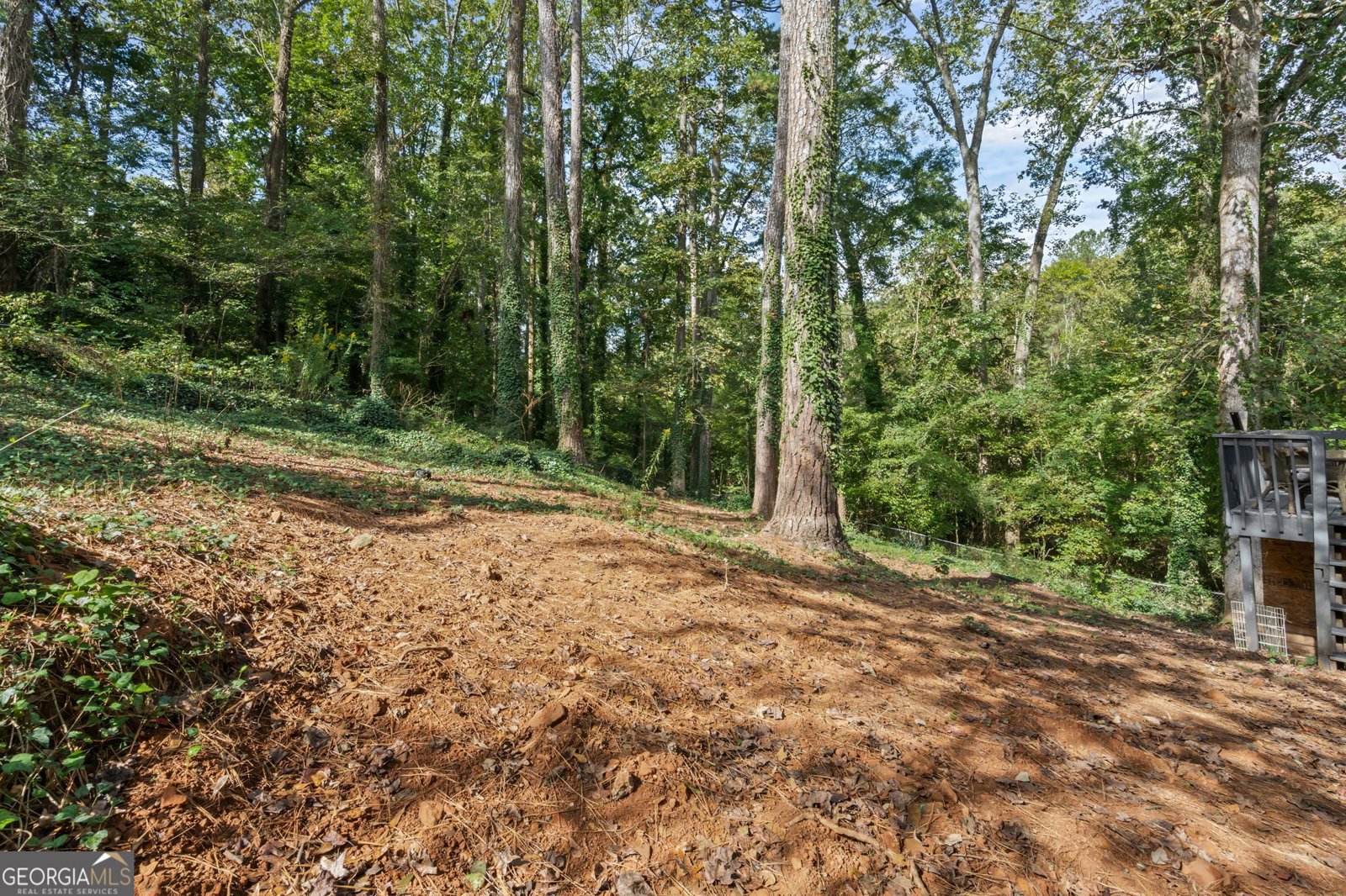 167 Lester Road Lawrenceville - 15