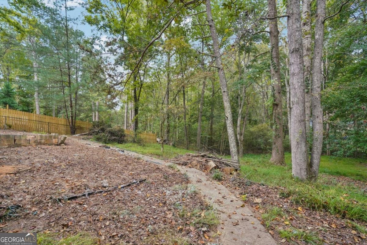 2853 Melanie Lane Douglasville - 10