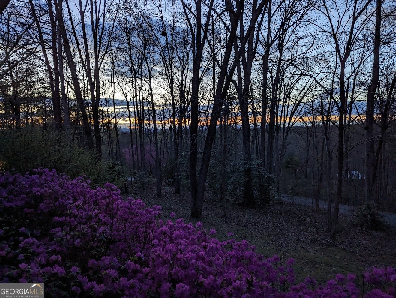 277 Tracy Street Blairsville - 35