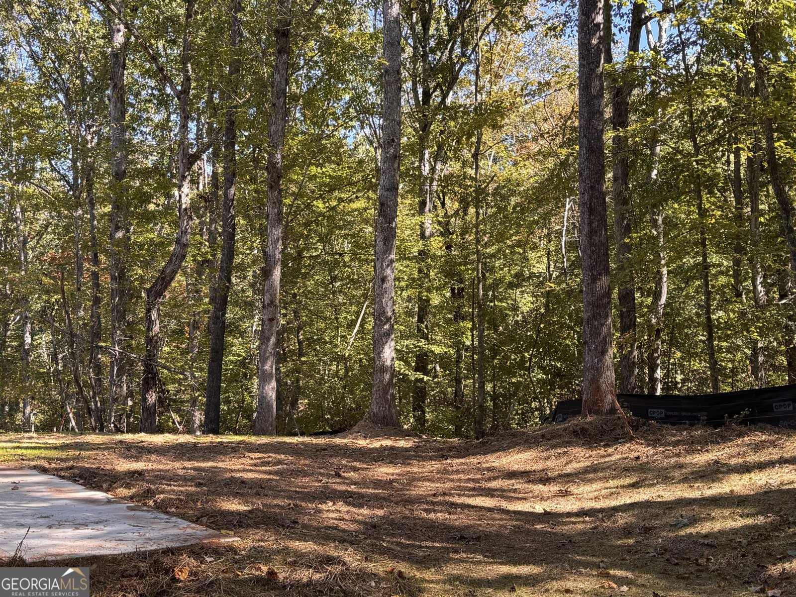 50 Hawks Ridge Court Cleveland - 2