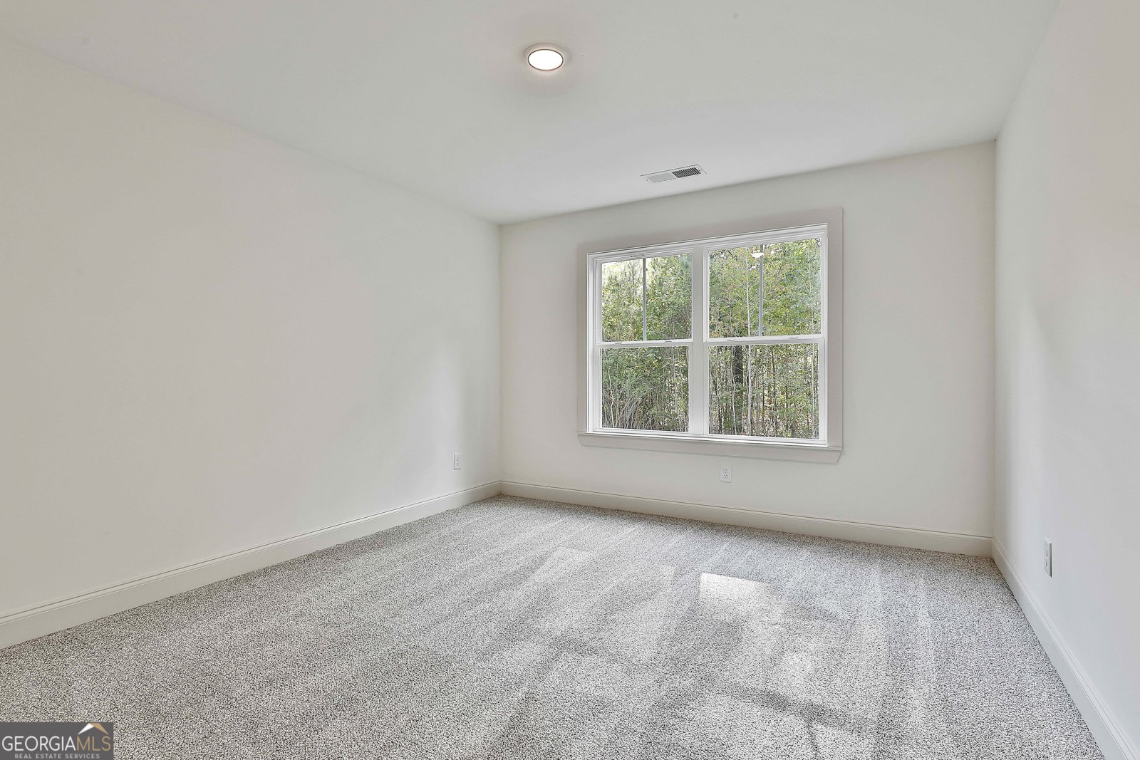 651 Burg Road Locust Grove - 19