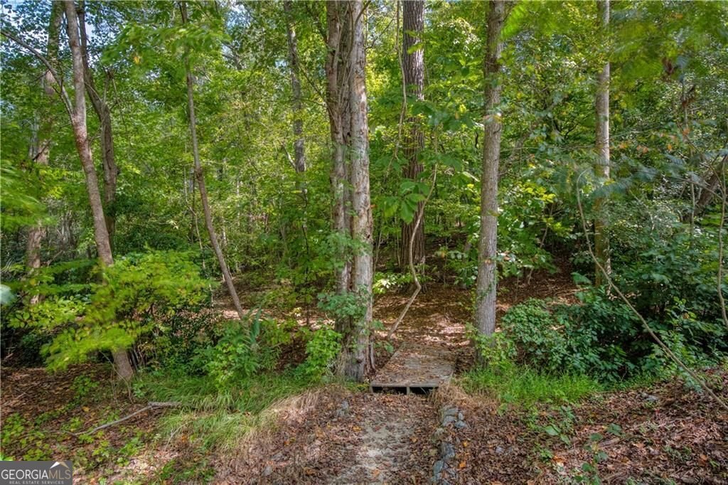 150 Flowing Spring Trail Roswell - 74