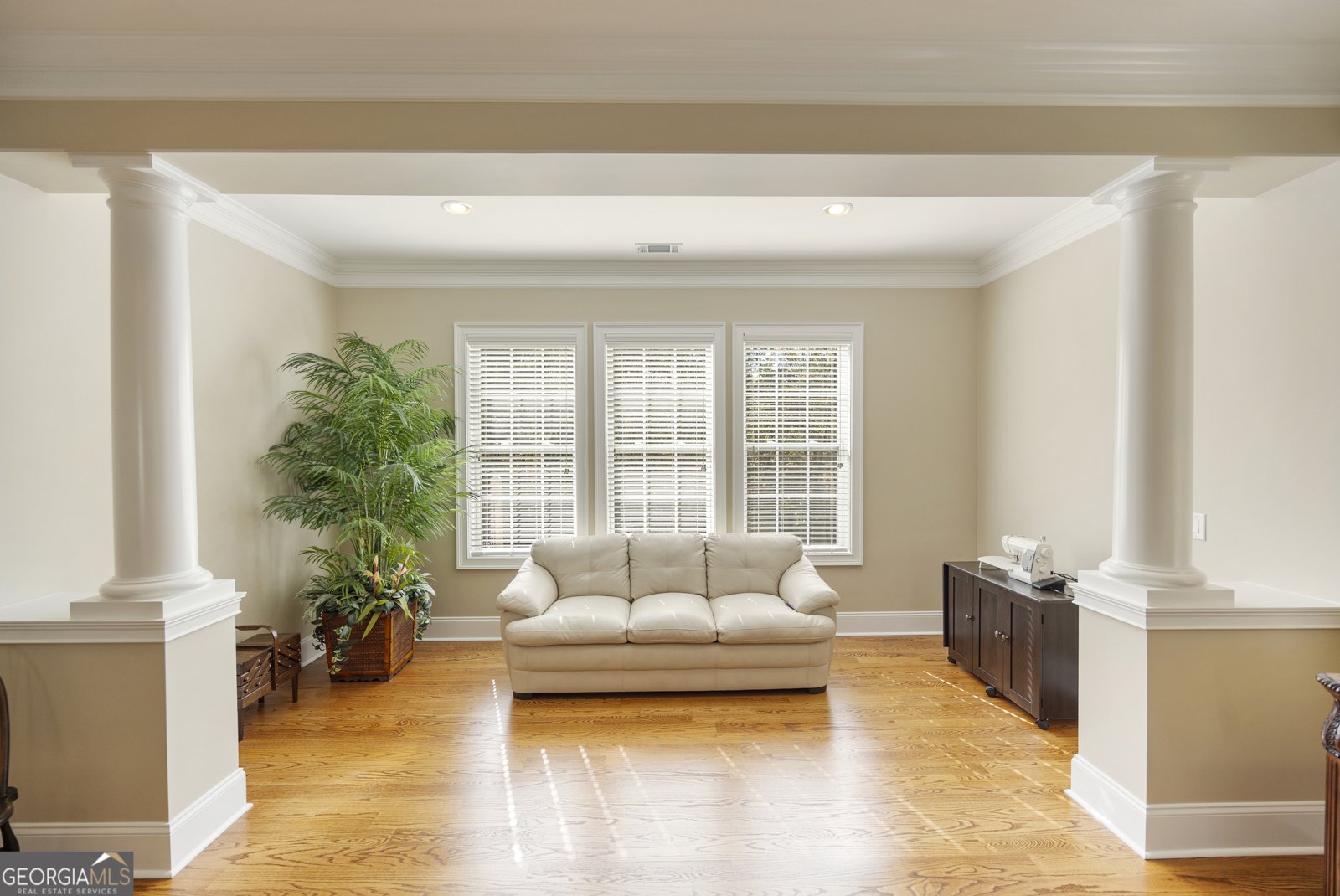 520 Black Horse Circle Canton - 30