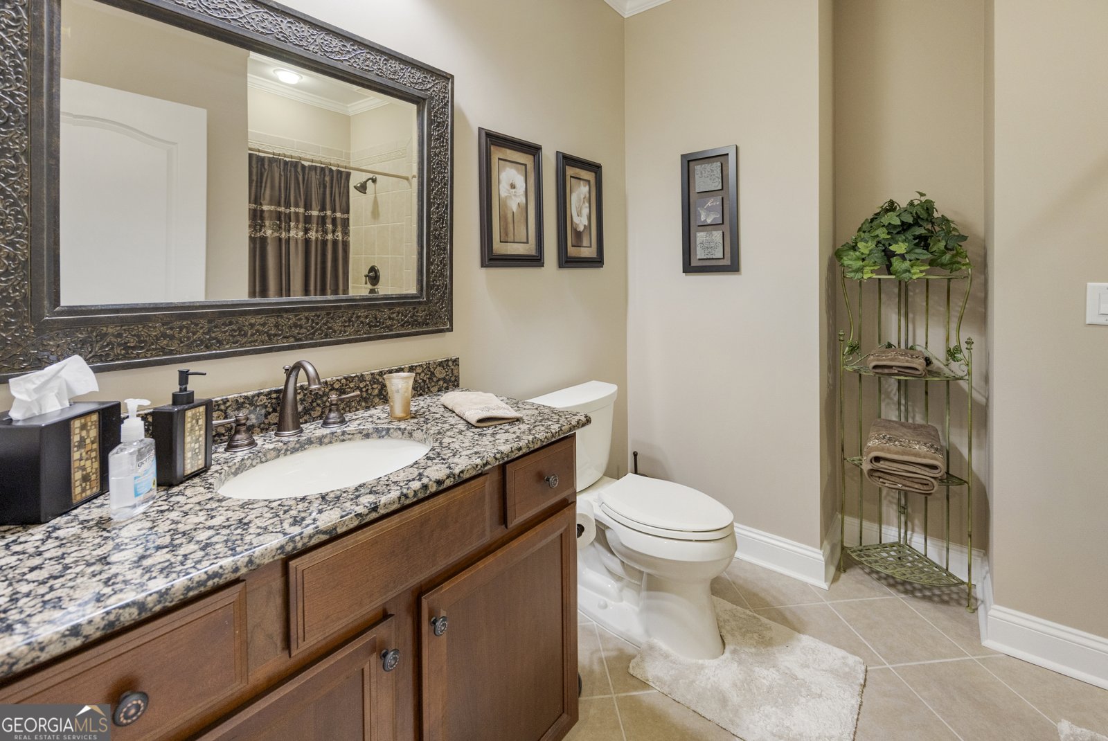 520 Black Horse Circle Canton - 49