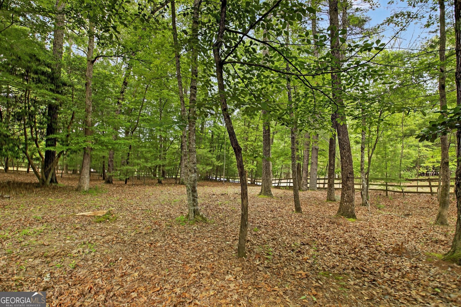 100 Black Oaks Road Cherry Log - 26