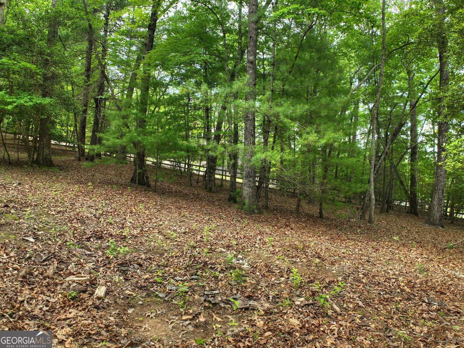 100 Black Oaks Road Cherry Log - 52