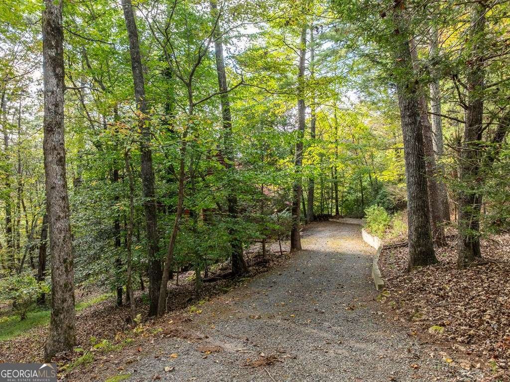 804 Pocaset Drive Ellijay - 11