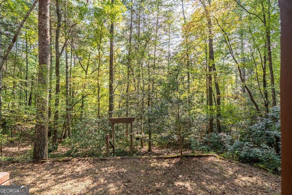 804 Pocaset Drive Ellijay - 21