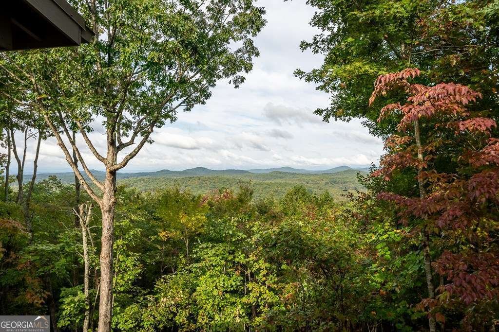 175 Oak Ledge Road Morganton - 38