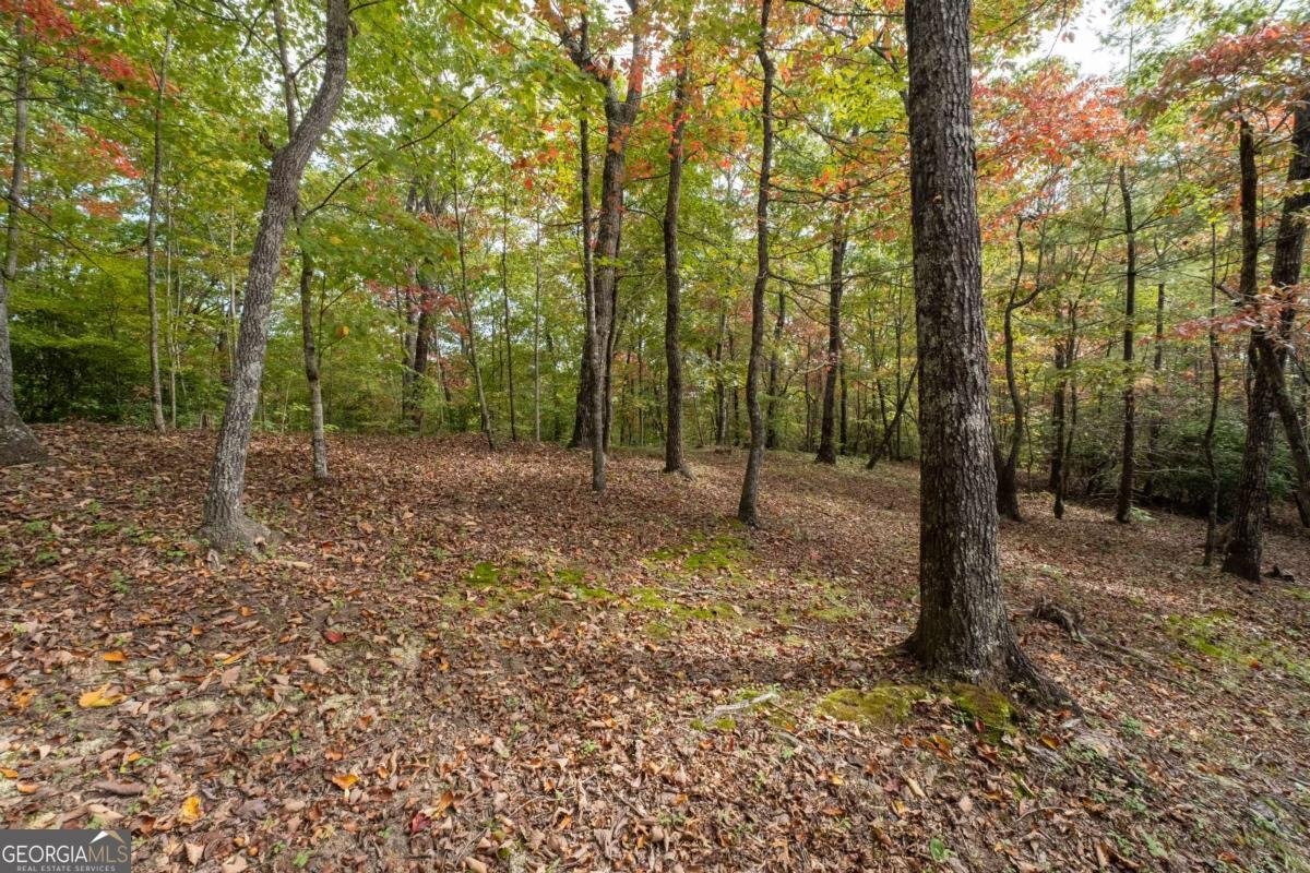 891 Deerfield Drive Clayton - 47