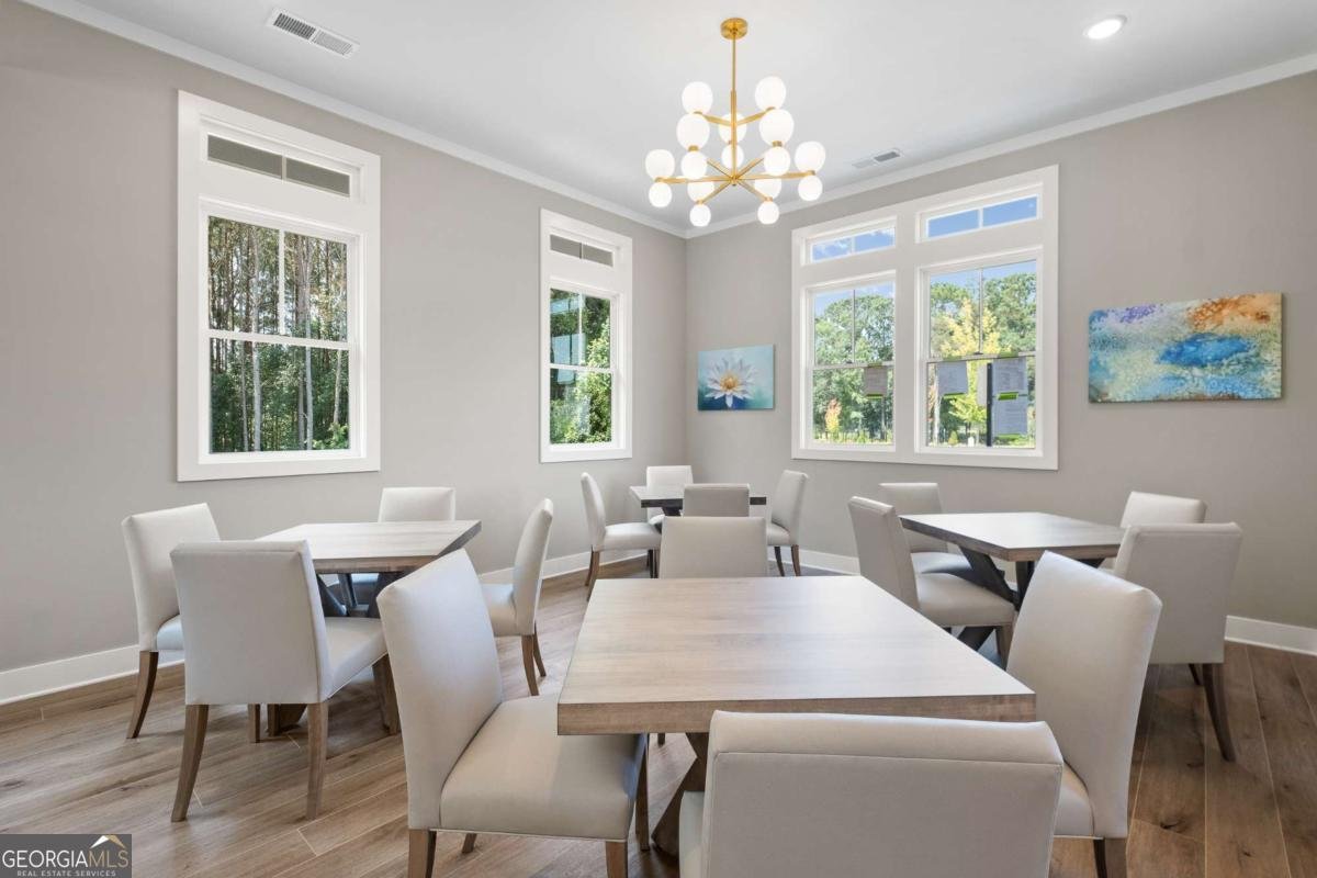 705 Calendula Court Mcdonough - 19