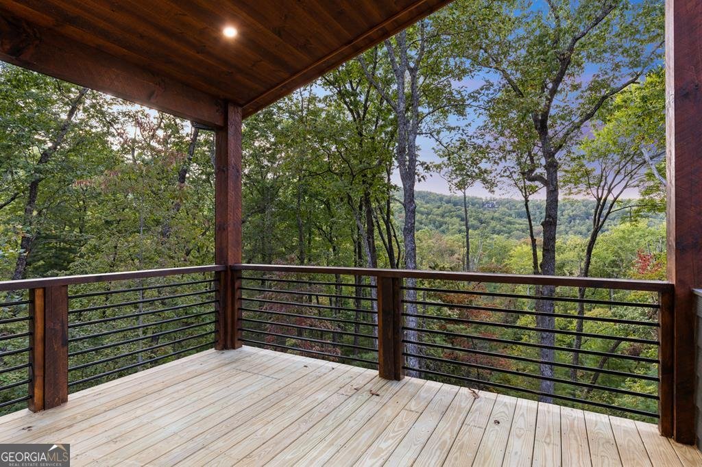 1160 Mangums Trail Blue Ridge - 12