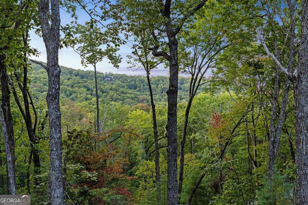 1160 Mangums Trail Blue Ridge - 13