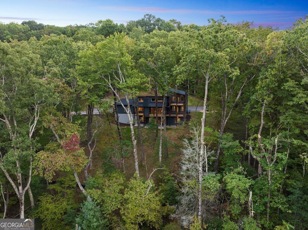 1160 Mangums Trail Blue Ridge - 35