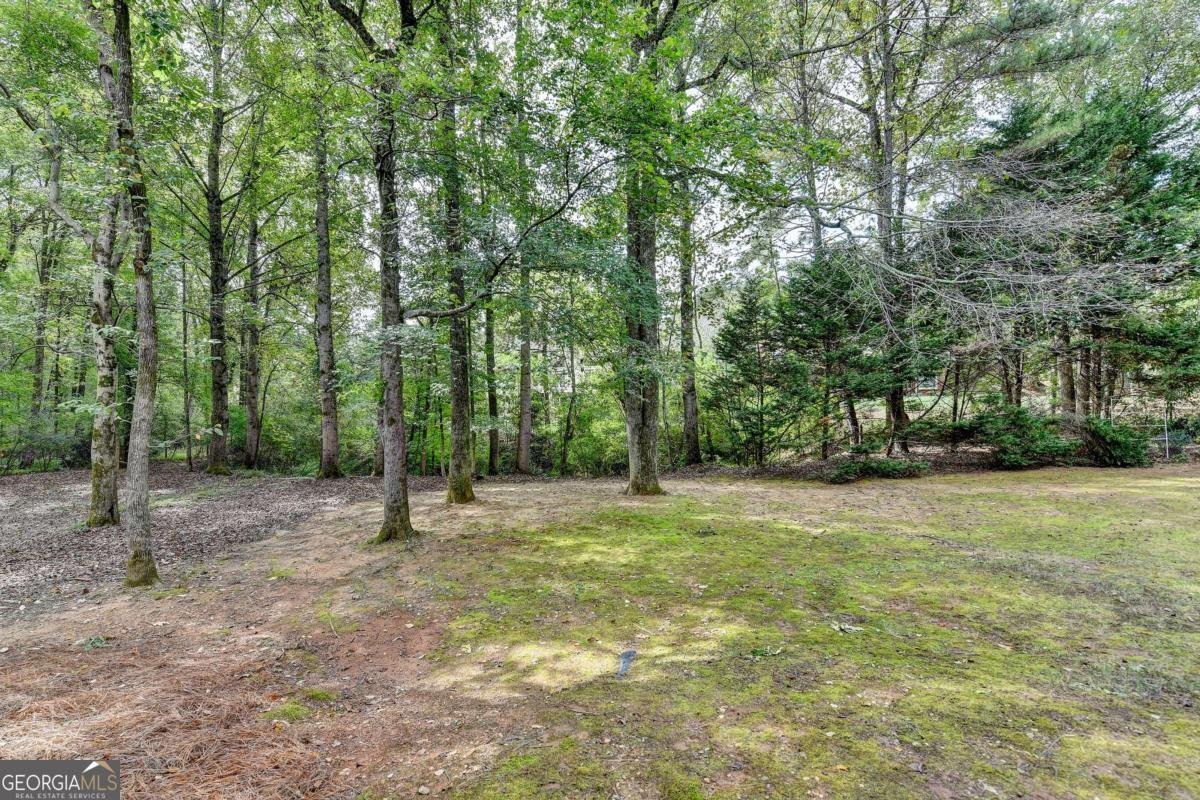 510 Winborne Place Johns Creek - 22
