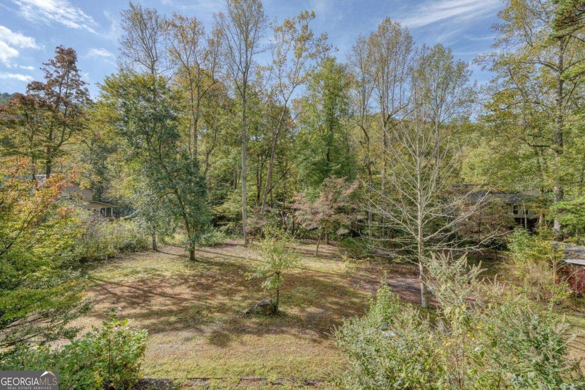 2515 Road 9999 Hiawassee - 11