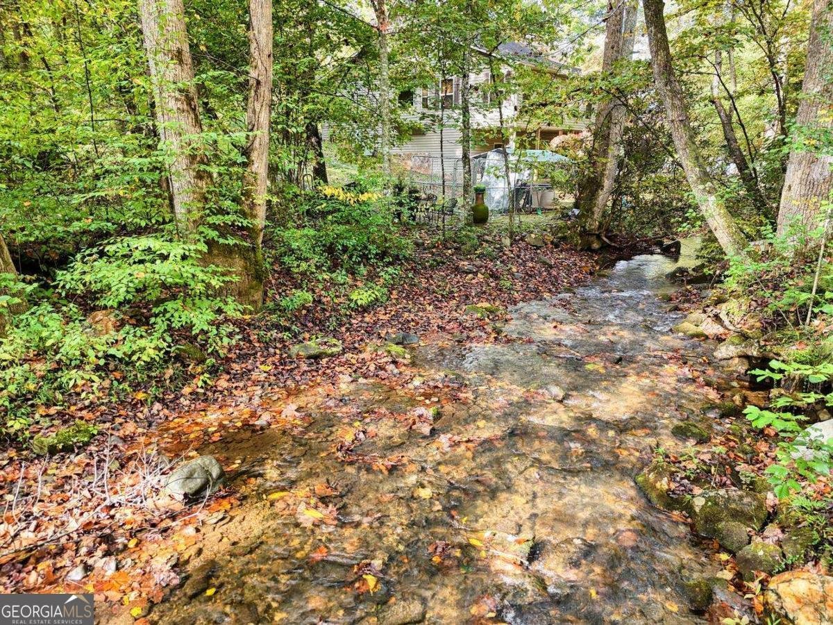 2515 Road 9999 Hiawassee - 44