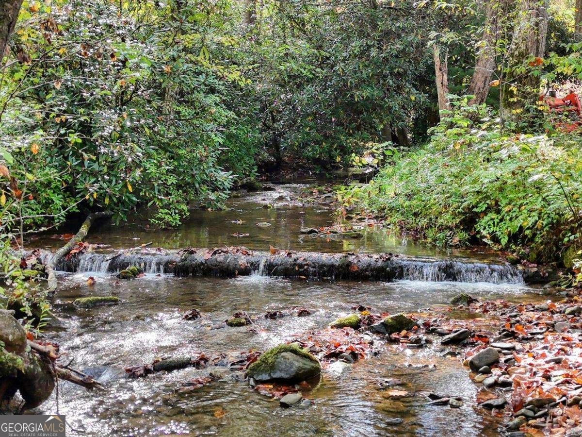 2515 Road 9999 Hiawassee - 46