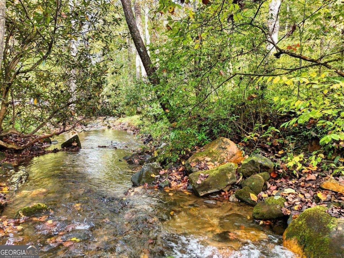 2515 Road 9999 Hiawassee - 47