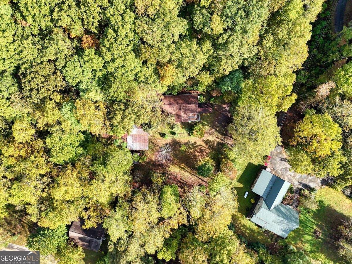 2515 Road 9999 Hiawassee - 48