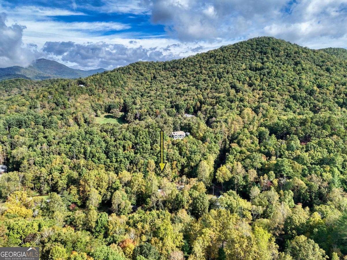 2515 Road 9999 Hiawassee - 50