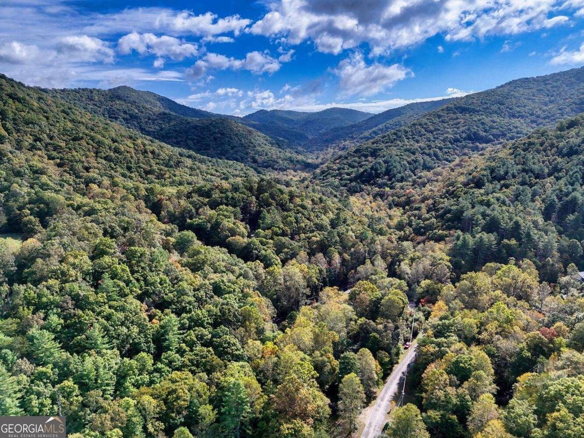 2515 Road 9999 Hiawassee - 51