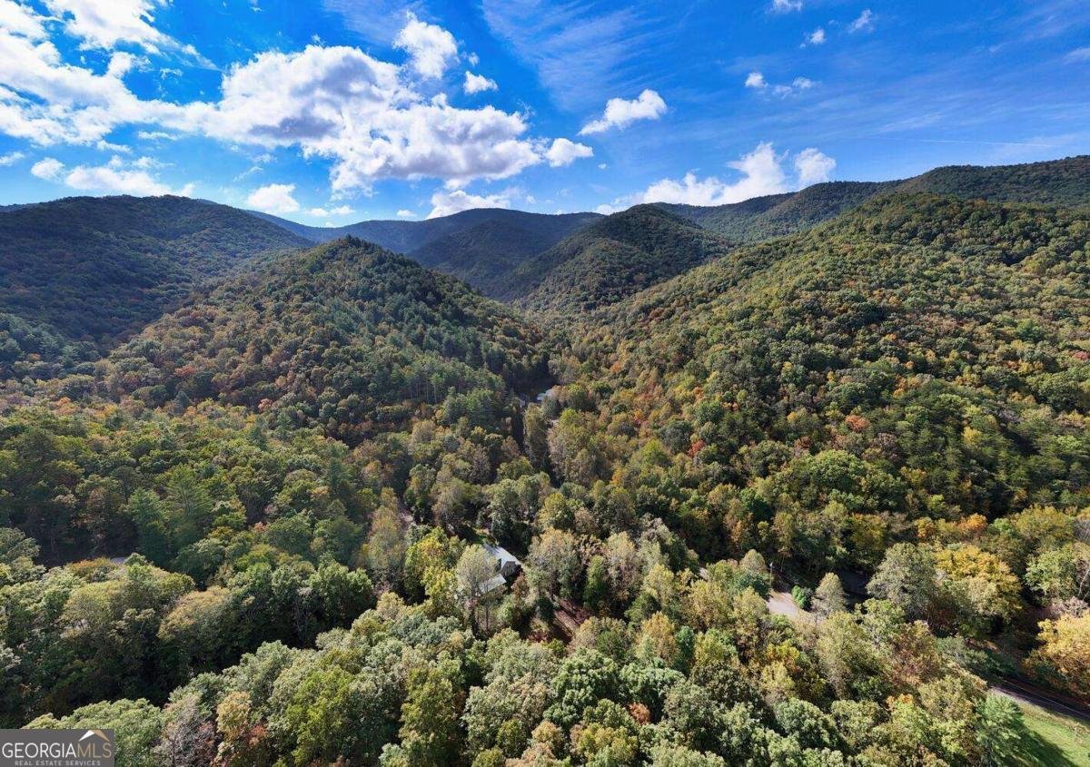 2515 Road 9999 Hiawassee - 52