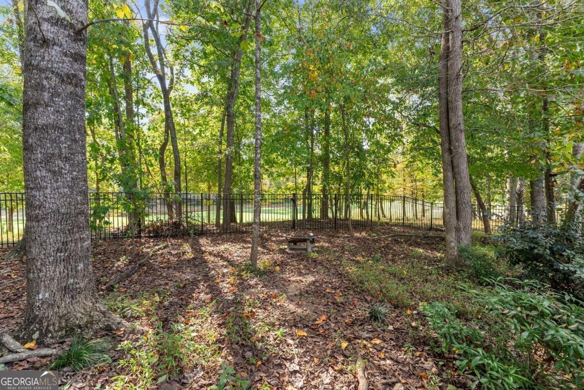6021 Ash Hill Place Hoschton - 48
