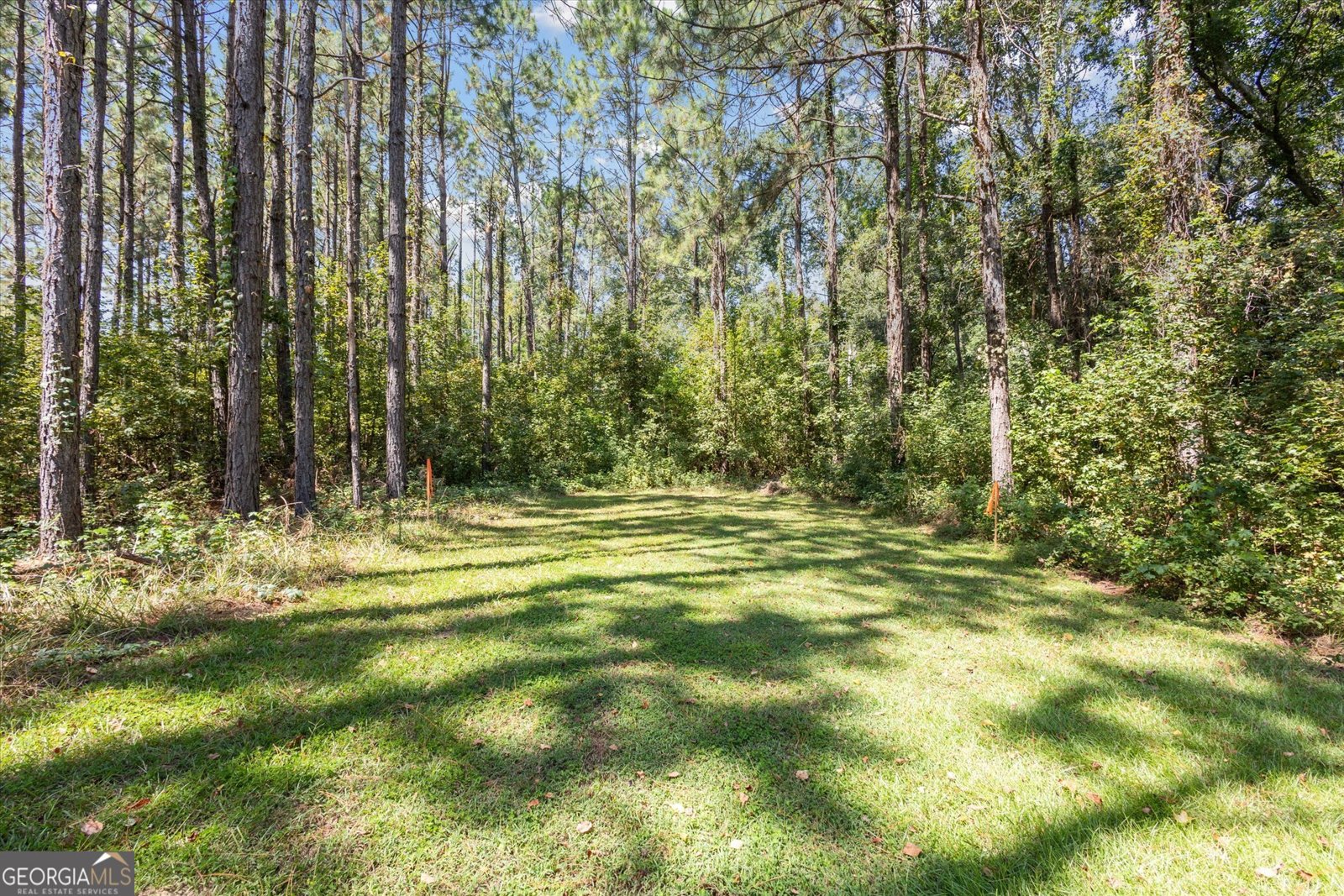 991 Johnny Brannen Road Statesboro - 8