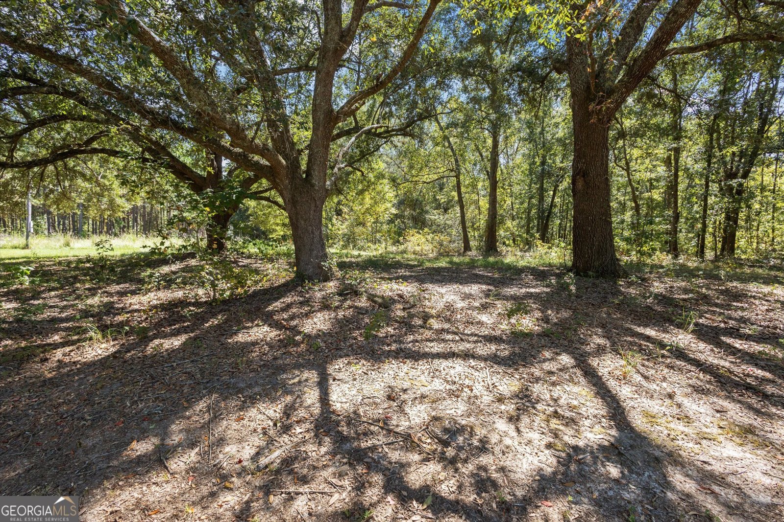 983 Johnny Brannen Statesboro - 29