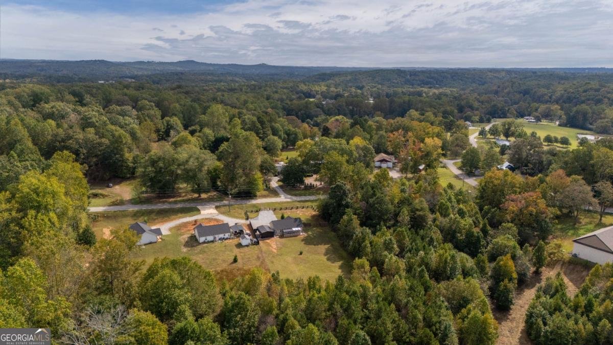 5988 Bark Camp Road Murrayville - 36