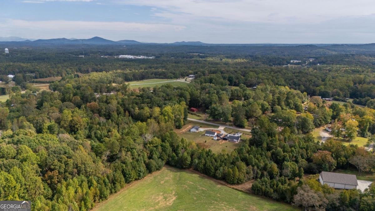5988 Bark Camp Road Murrayville - 38