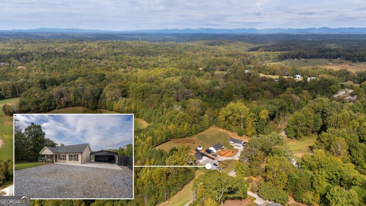 5988 Bark Camp Road Murrayville - 39