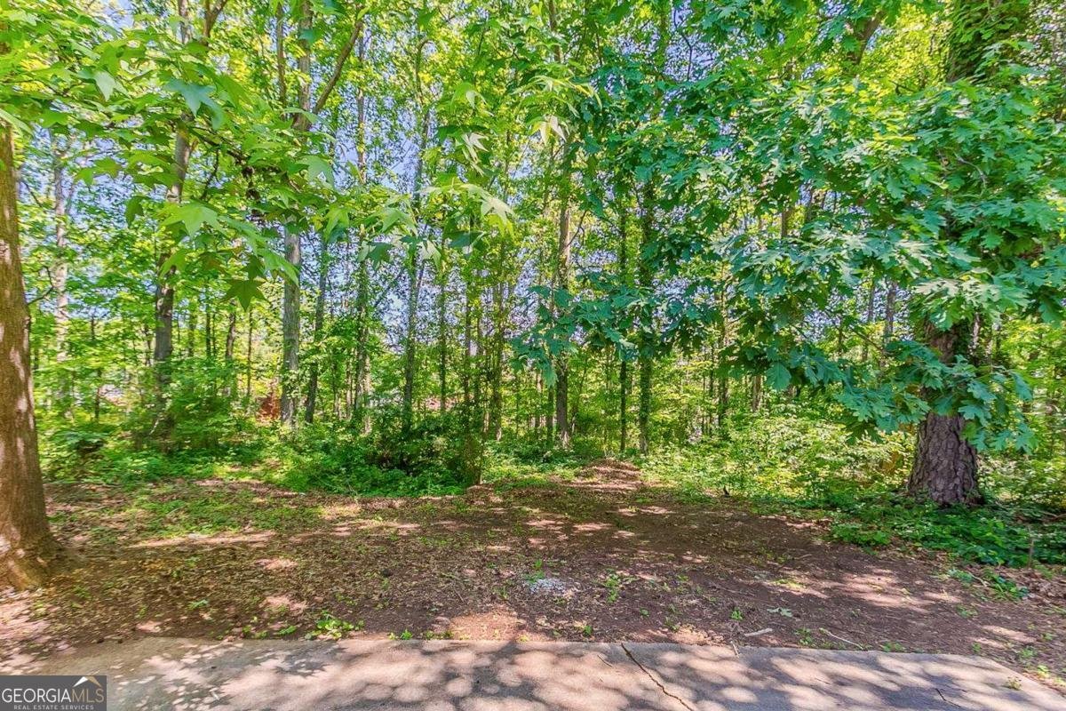 1074 Cherokee Heights Stone Mountain - 39