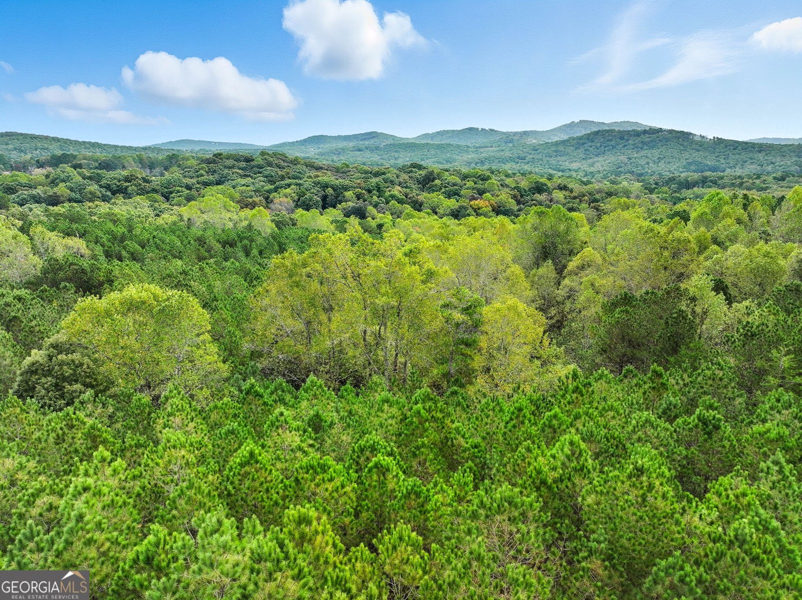 716 Old Pleasant Valley Road Talking Rock - 18