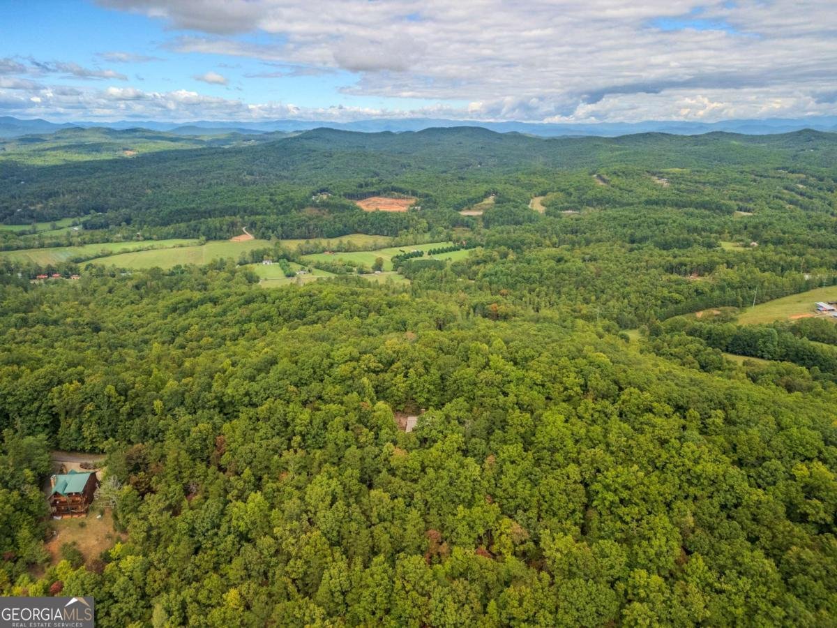 380 Oak Ridge Way Drive Morganton - 59