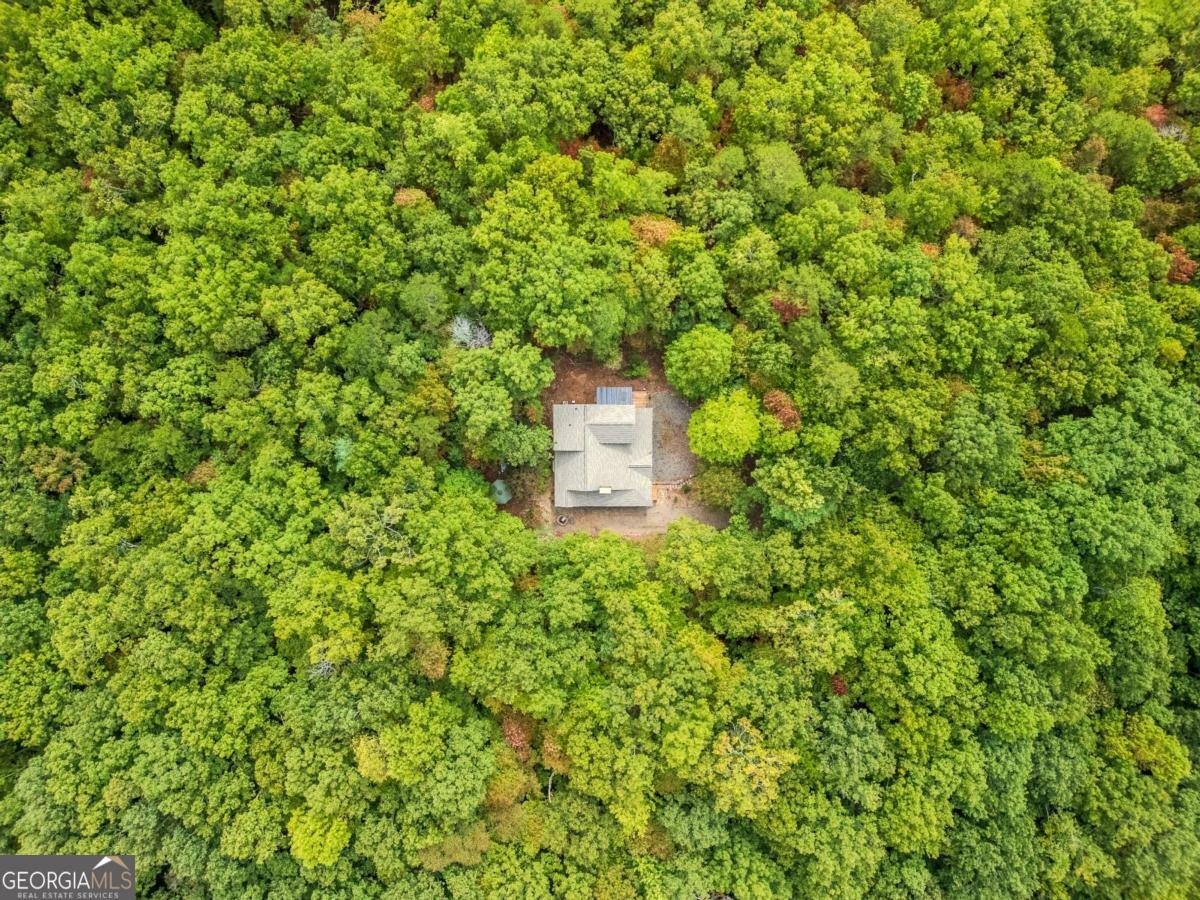 380 Oak Ridge Way Drive Morganton - 60