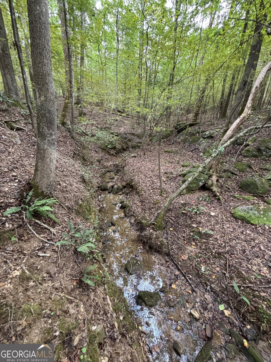 2568 Wirebridge Road Arnoldsville - 55