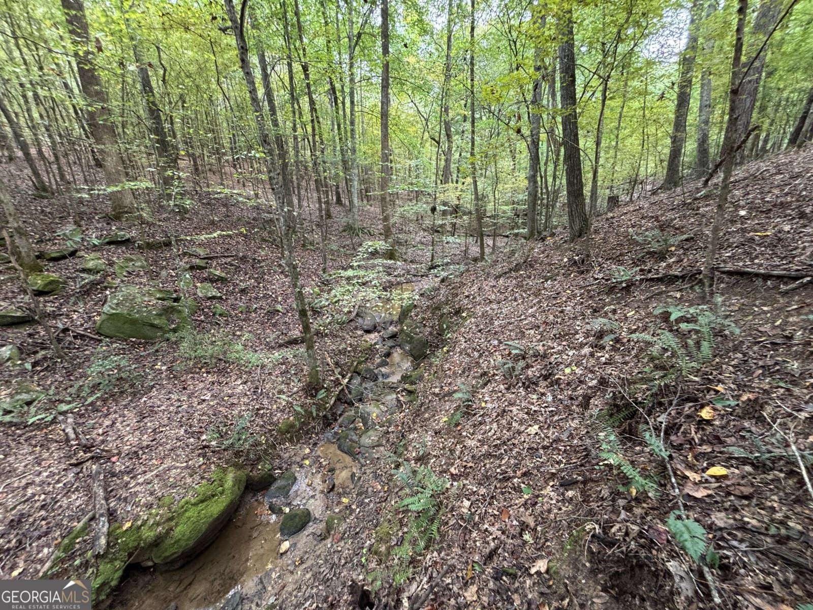 2568 Wirebridge Road Arnoldsville - 56