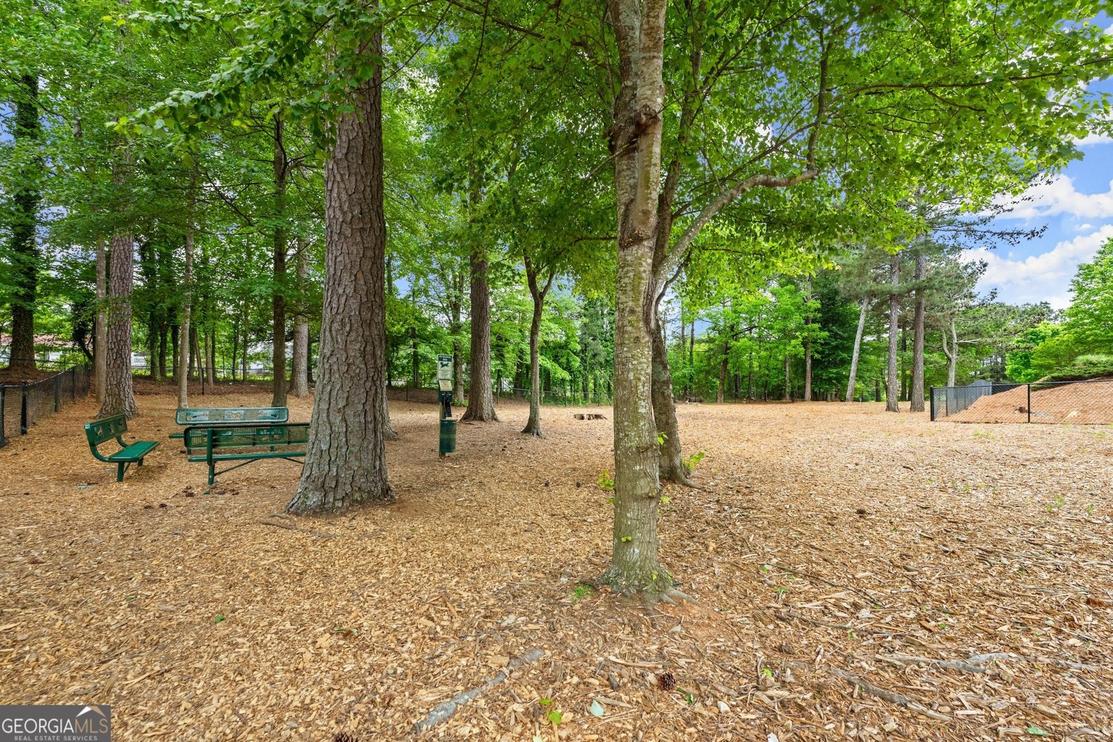 3133 Scarlet Oak Lane Gainesville - 29