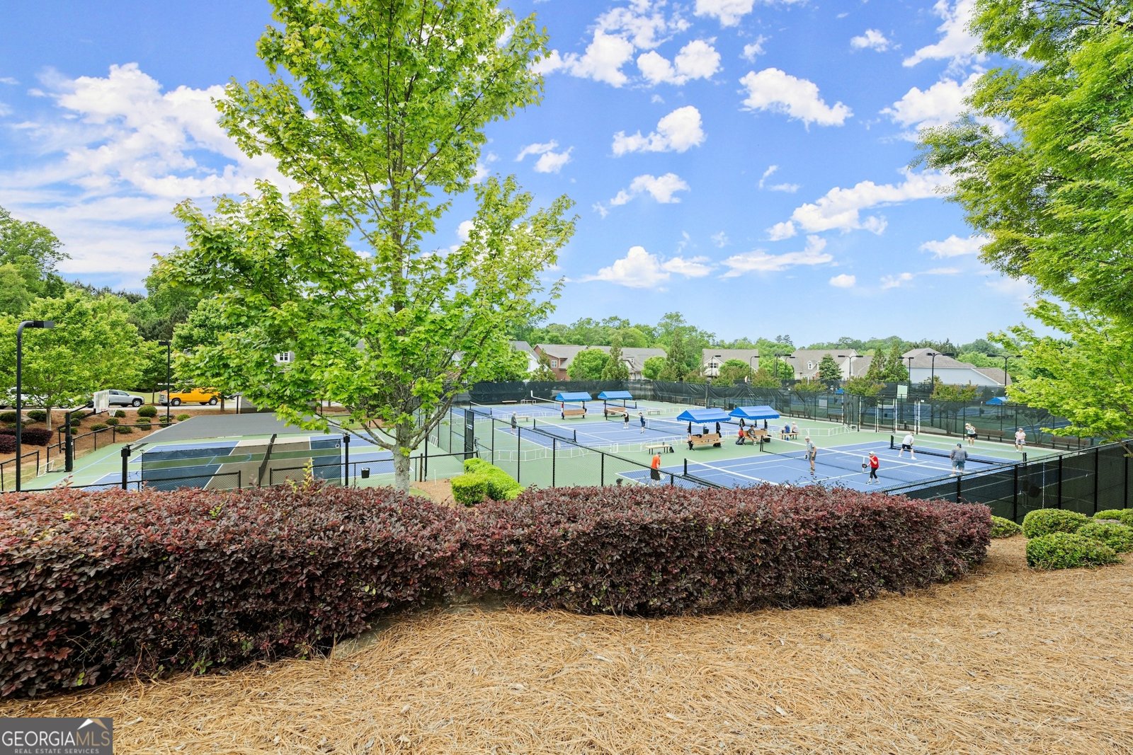 3133 Scarlet Oak Lane Gainesville - 55