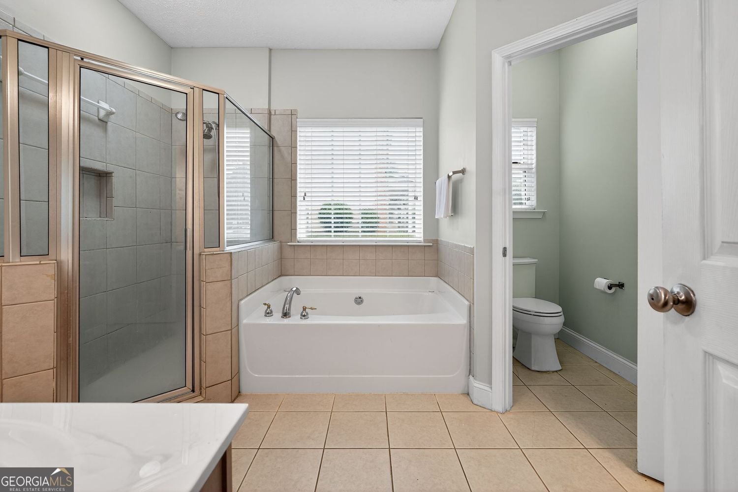 113 Highgrove Place McDonough - 13