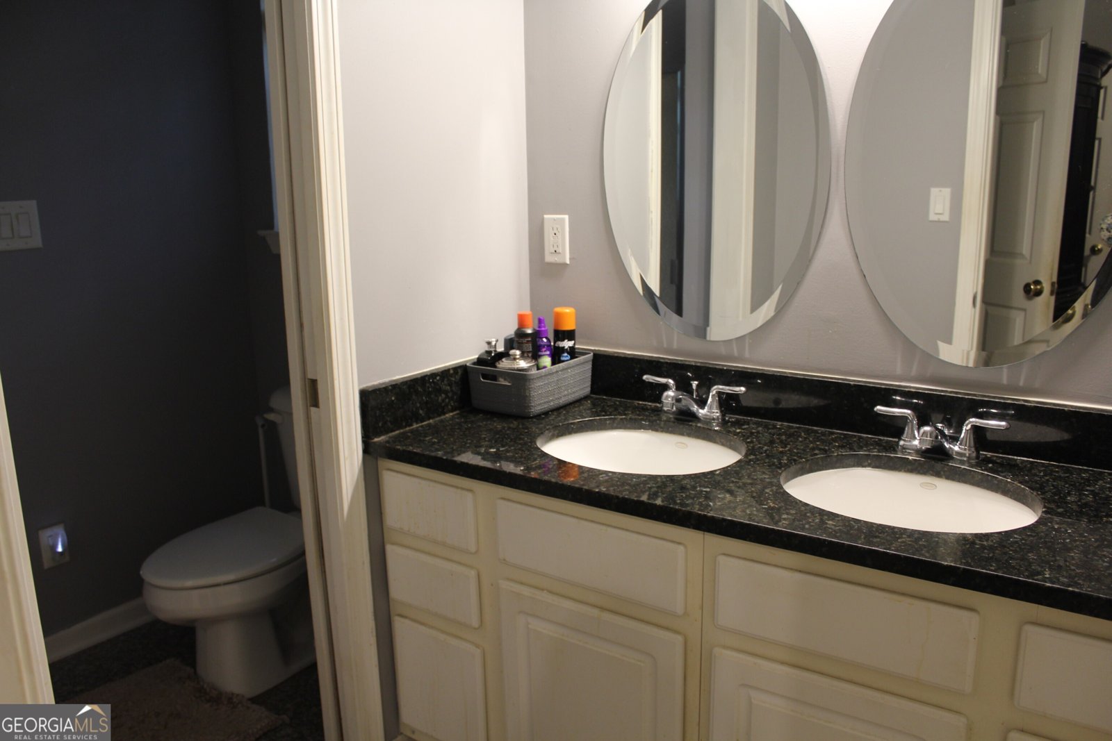 867 Bear Creek Point Mansfield - 24
