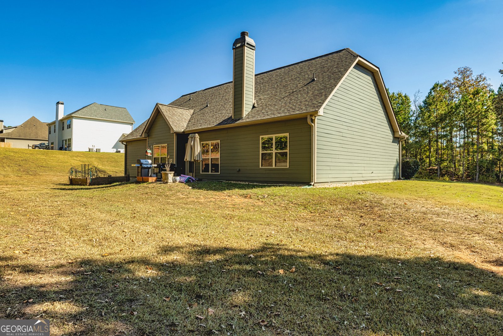 409 Walden Pond Way Senoia - 28