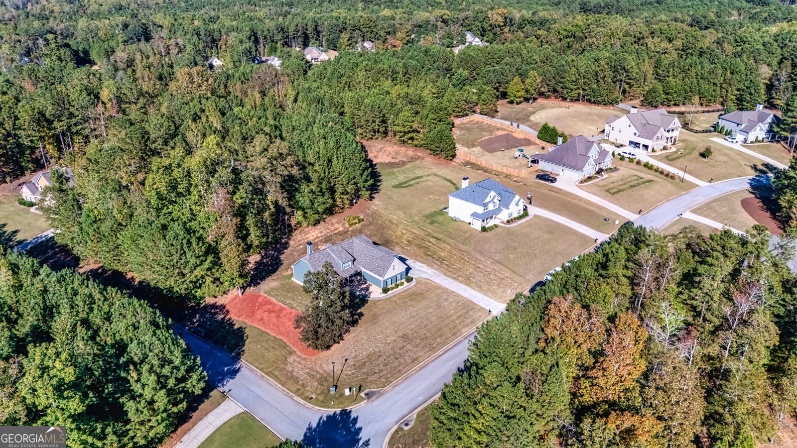 409 Walden Pond Way Senoia - 31