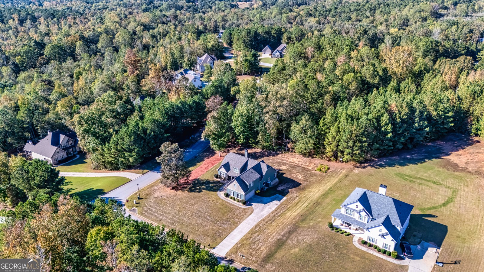 409 Walden Pond Way Senoia - 32